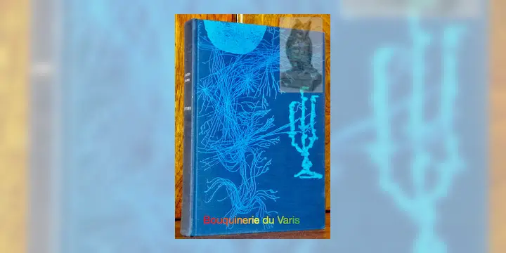 Intempéries. Traduit de l’anglais par Jean Talva.