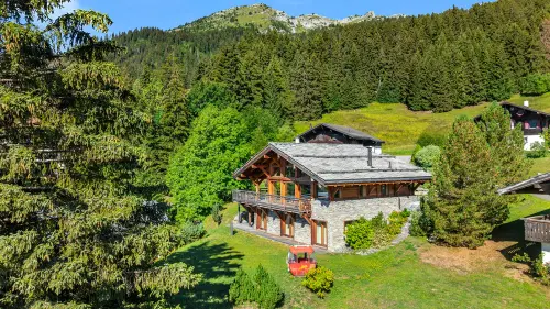 Chalet d'Exception - Luxe, Élégance et Panorama au coeur des Alpes