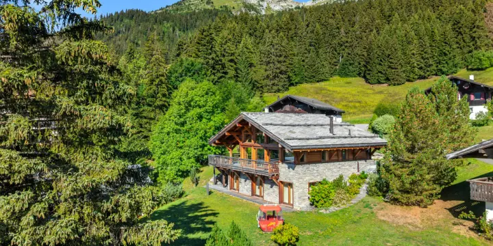 Chalet d'Exception - Luxe, Élégance et Panorama au coeur des Alpes