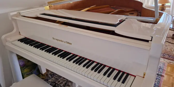 PIANO à QUEUE /  STEINGRAEBER & SÖHNE A-170