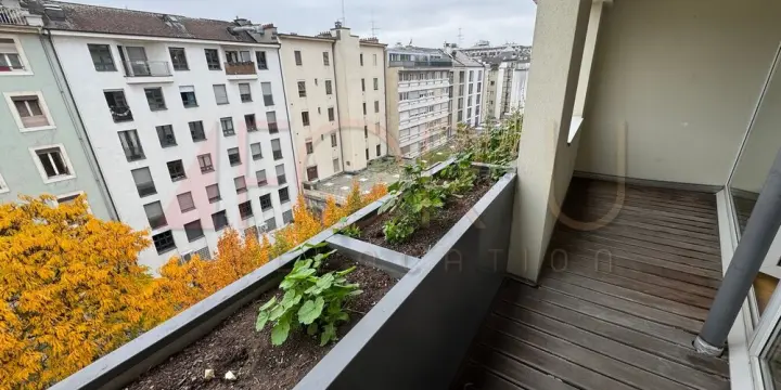 Beau duplex en attique de 7.5 pièces en surélévation aux Pâquis