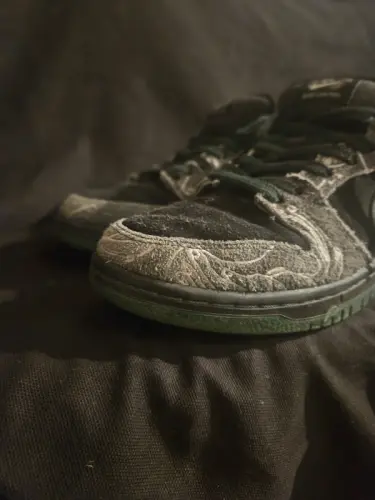 Nike dunk sb low there skateboard.