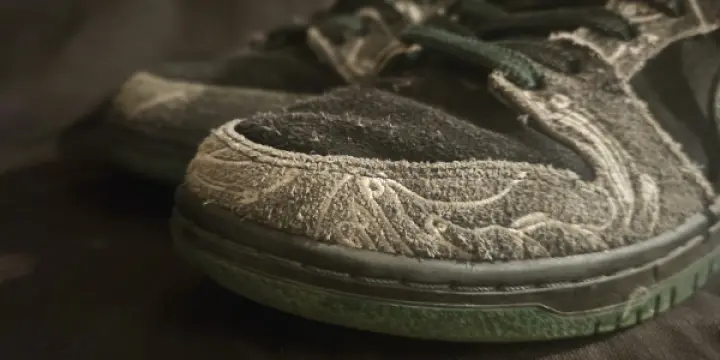 Nike dunk sb low there skateboard.