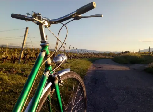 Vélo de ville révisé à Genève