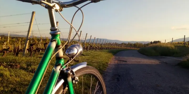 Vélo de ville révisé