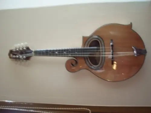 Mandoline Jazz manouche bouche en D à Fribourg
