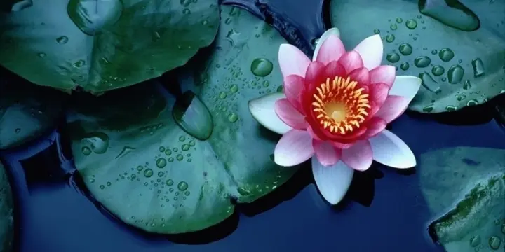 Massage détente et petits plaisirs