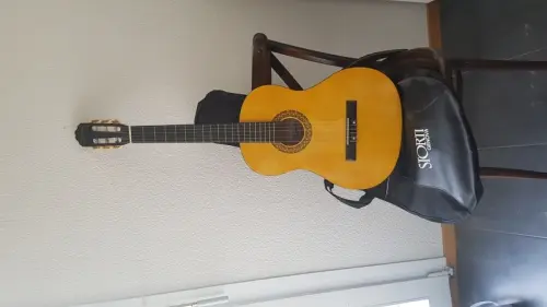 Je vendre une guitare à essert pittet