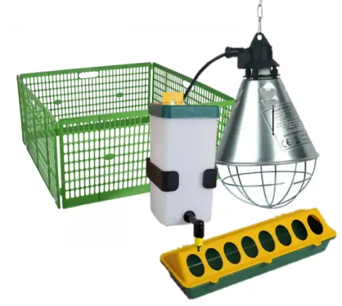 Kit de démarrage pour poussins à Vesin