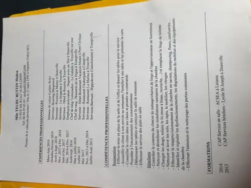 Recherche emploi serveuse à LOISIN
