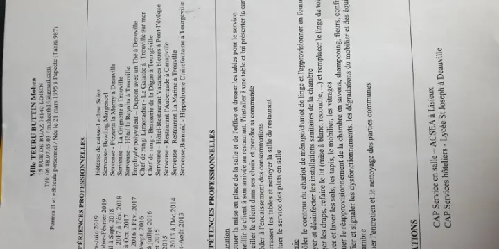 Recherche emploi serveuse