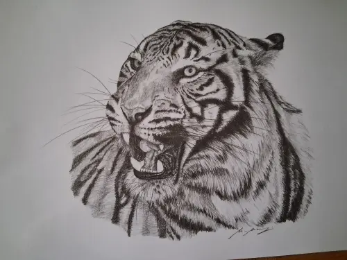 A vendre portrait d'animaux à Bulle