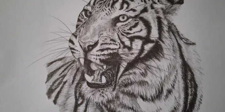 A vendre portrait d'animaux