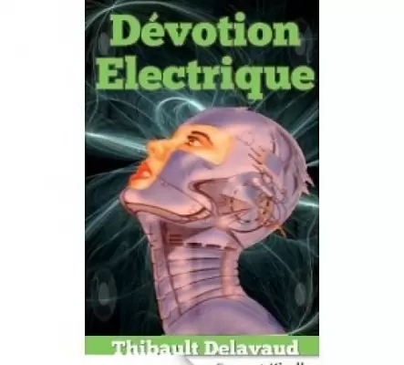 Dévotion Electrique de Thibault Delavaud