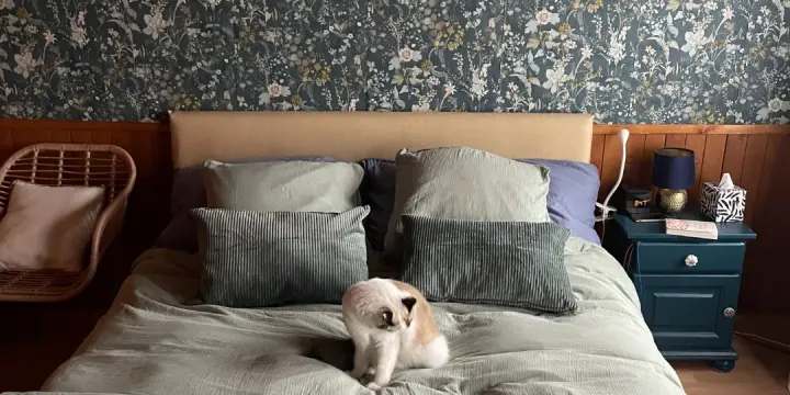 Chambre à louer pour femme