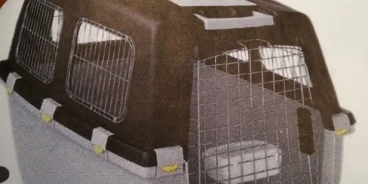 cage à chien