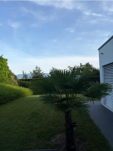 Appartement neuf 4,5 avec jardin privatif 252m2