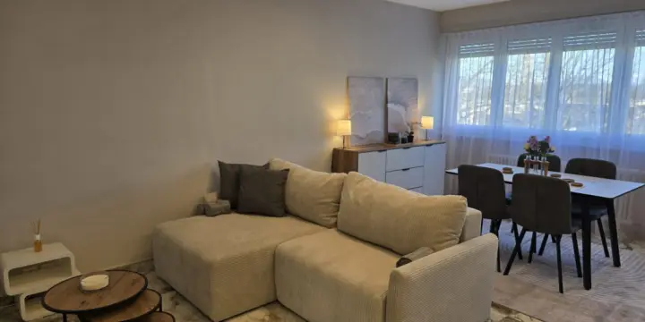 BEL APPARTEMENT 4 PIÈCES MEUBLÉ - MEYRIN