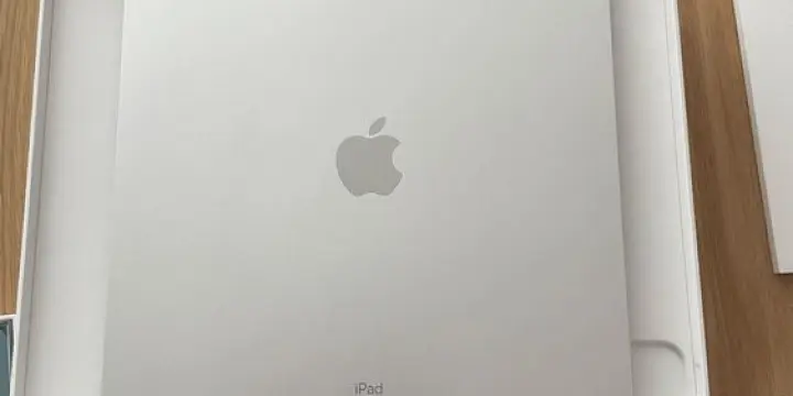 iPad Pro 2020 256 Go Cellulaire