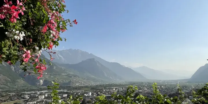 Appartement 3,5 pces de 96m2 avec jardin de 38m2 et 2 places de parc