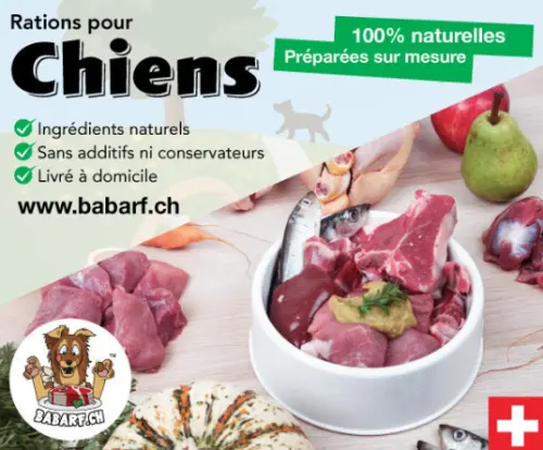 Rations BARF pour chiens à Bussigny