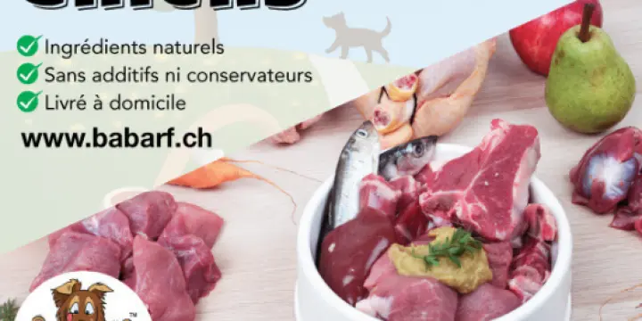 Rations BARF pour chiens