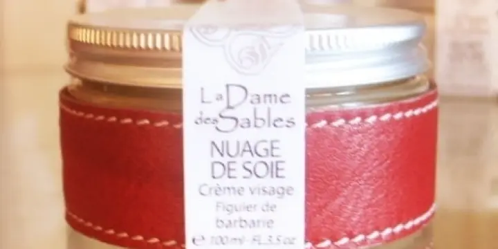 Le figuier de barbarie  "DS" St valentin
