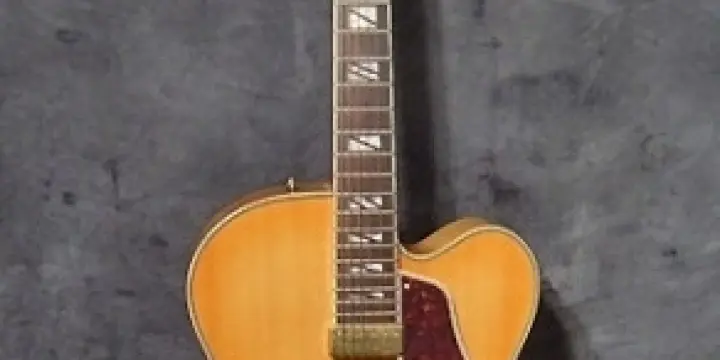 Guitare Jazz Aria FA71