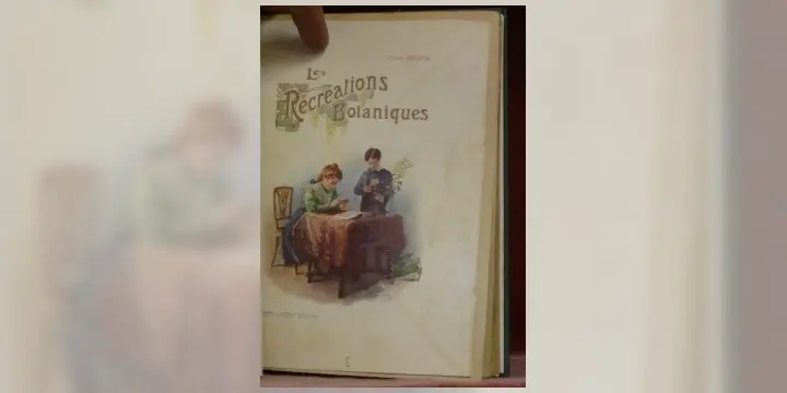 Récréations Botaniques (Ce qu’on voit dans les Fleurs).