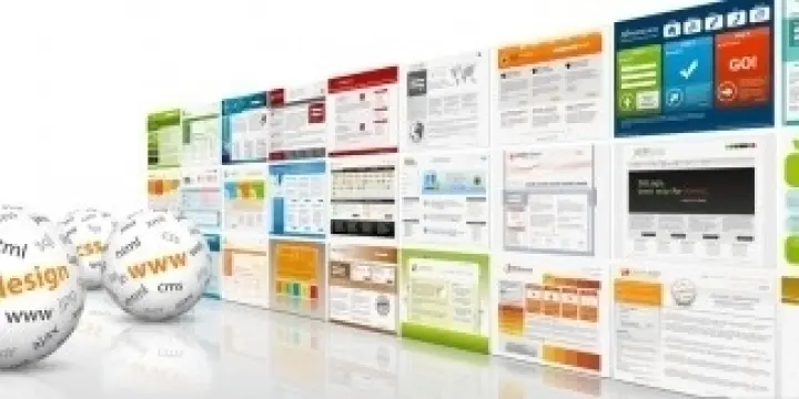 Online sales specialists 