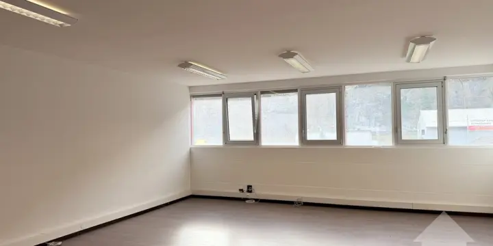 Vente de surface commerciale à Sion