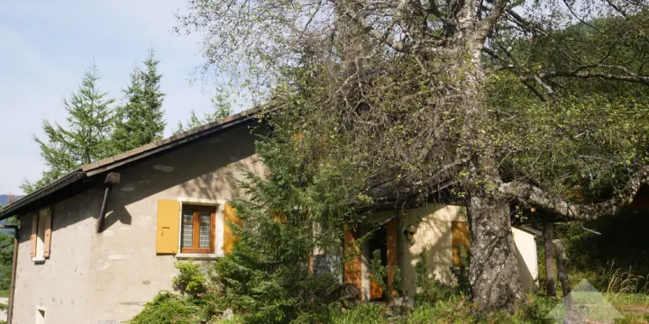 Grand chalet familial à 2 minutes de la Fouly !