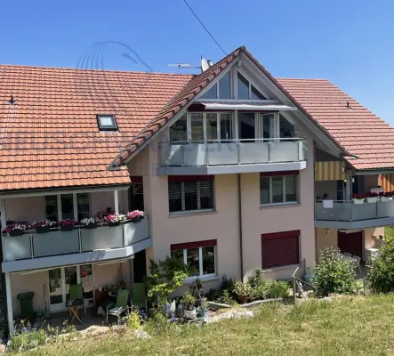 Dachwohnung mit Wintergarten und grosser Terrasse