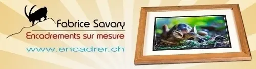 Encadrements de vos oeuvres sur mesure.  à Crésuz