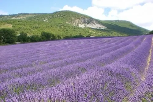 Voyage en Provence Baronnies