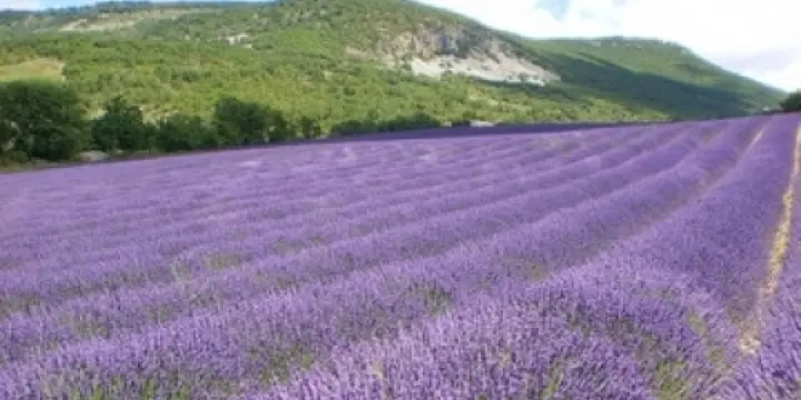Voyage en Provence Baronnies