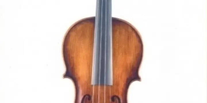 vente violon moderne professionnelle