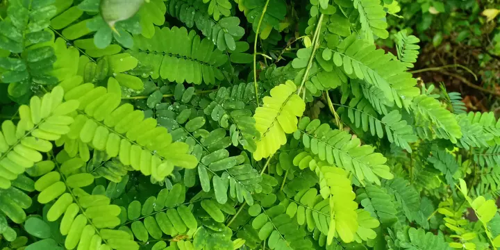 Spiritualité pour tous