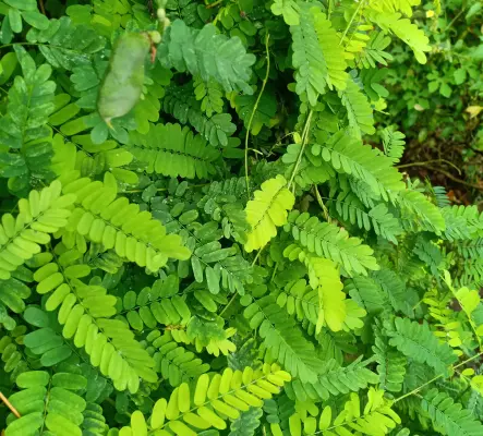 Spiritualité pour tous