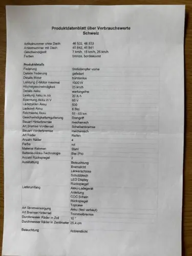 Prächtiger 4-Rad-Elektroroller – 1000 W – 25 km/h – Zugelassen