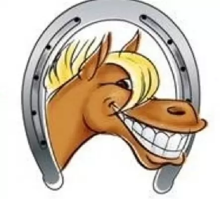 Zahnpflege für pferde