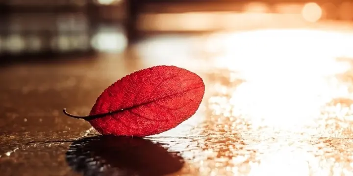 Massage pour femme à prix cassé