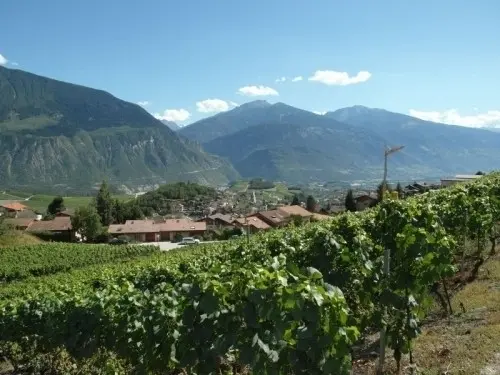 Terrain de 942m2-Miège, Sierre VS à Miège