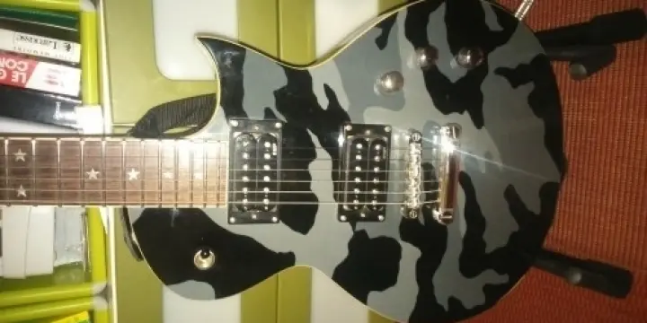 Guitare electrique(esp ltd wa-200)