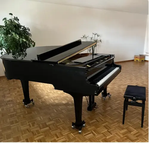 Piano à queue Yamaha C3 Conservatory – État impeccable