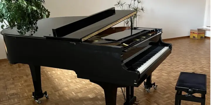 Piano à queue Yamaha C3 Conservatory – État impeccable