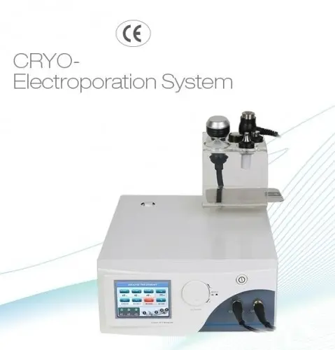 Appareil d’électroporation esthétique 