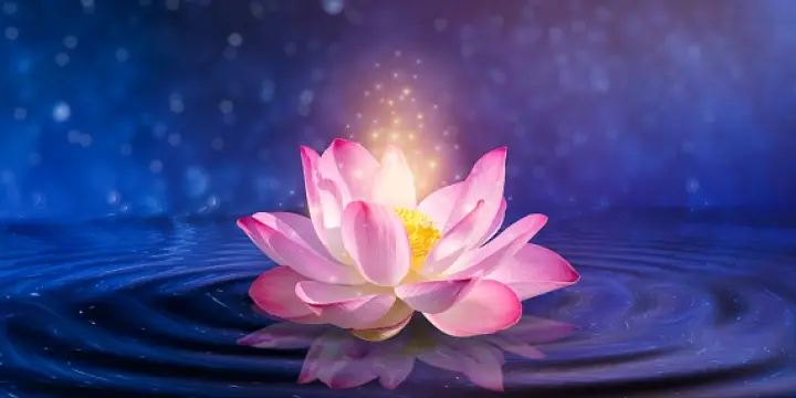 indépendant multiservices