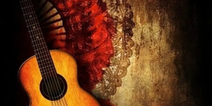 Gipsy Groove - Musique Concert Groupe