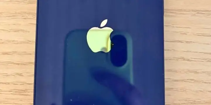 iPhone 12 + accessoires